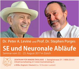 Porges - SE und Neuronale Abläufe - Vorderseite