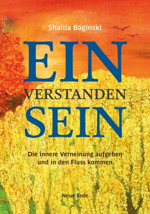 einverstandensein-taschenbuch-shalila-baginski